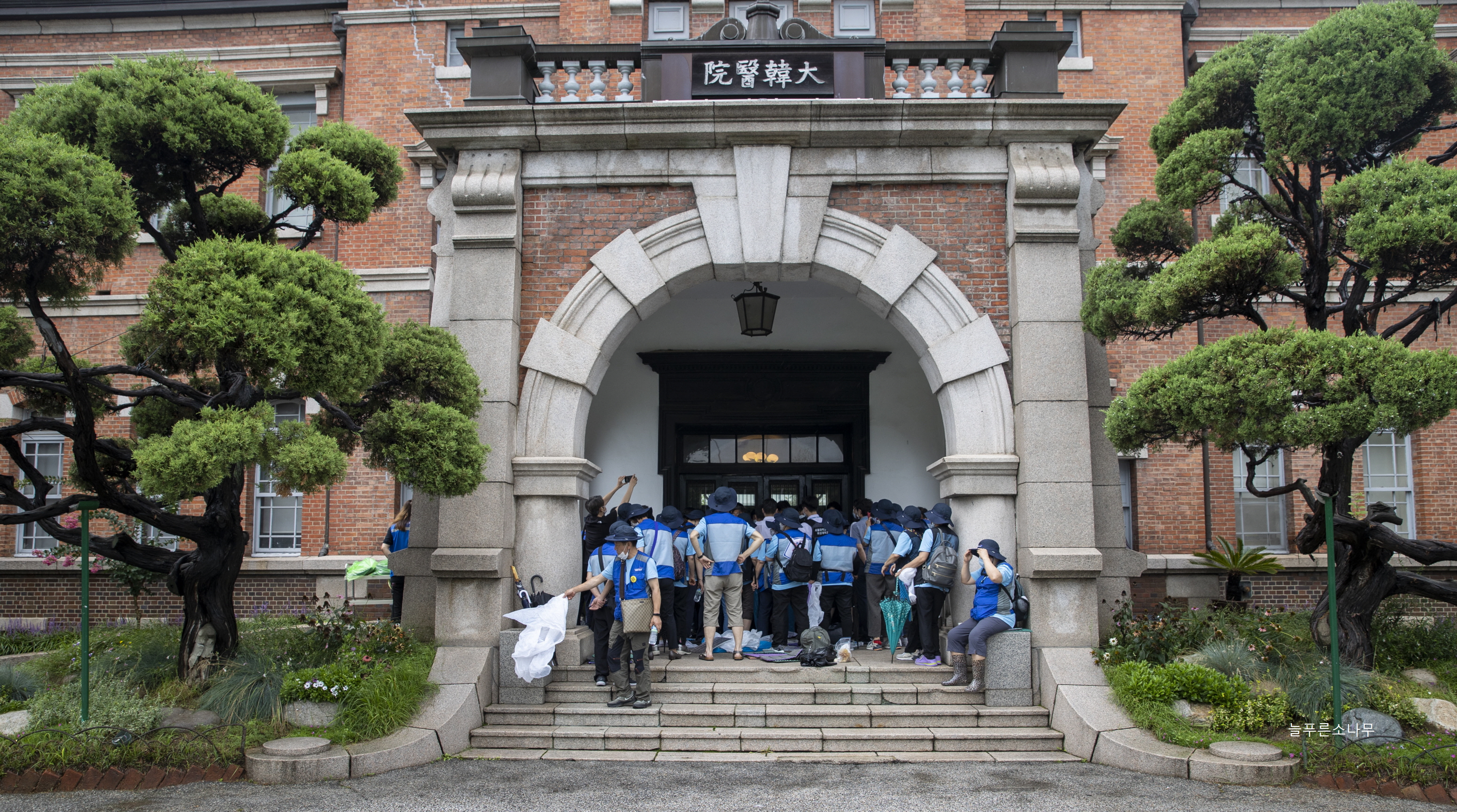 20-07-29늘푸른소나무_6.jpg